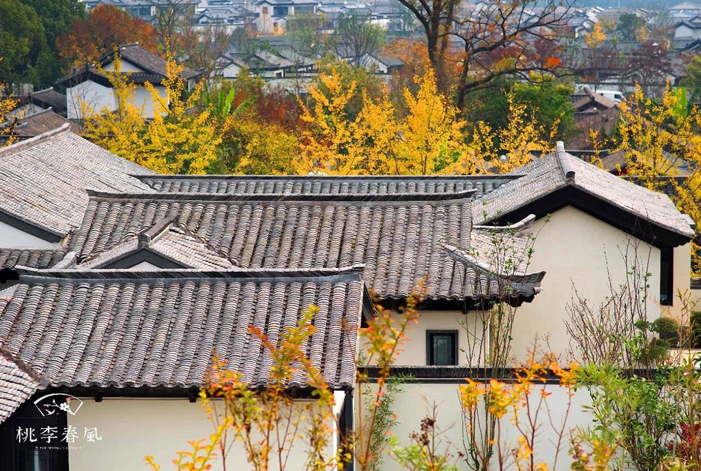 28圈(中国)官方网站